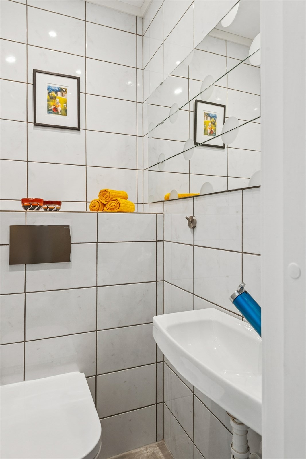 Gjestetoalett. Galleribilde