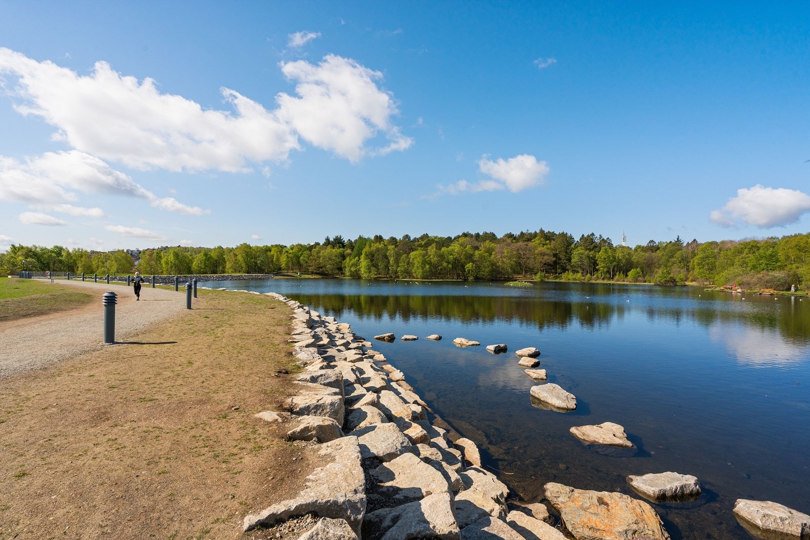 Vannassen - Nærmiljø. Galleribilde