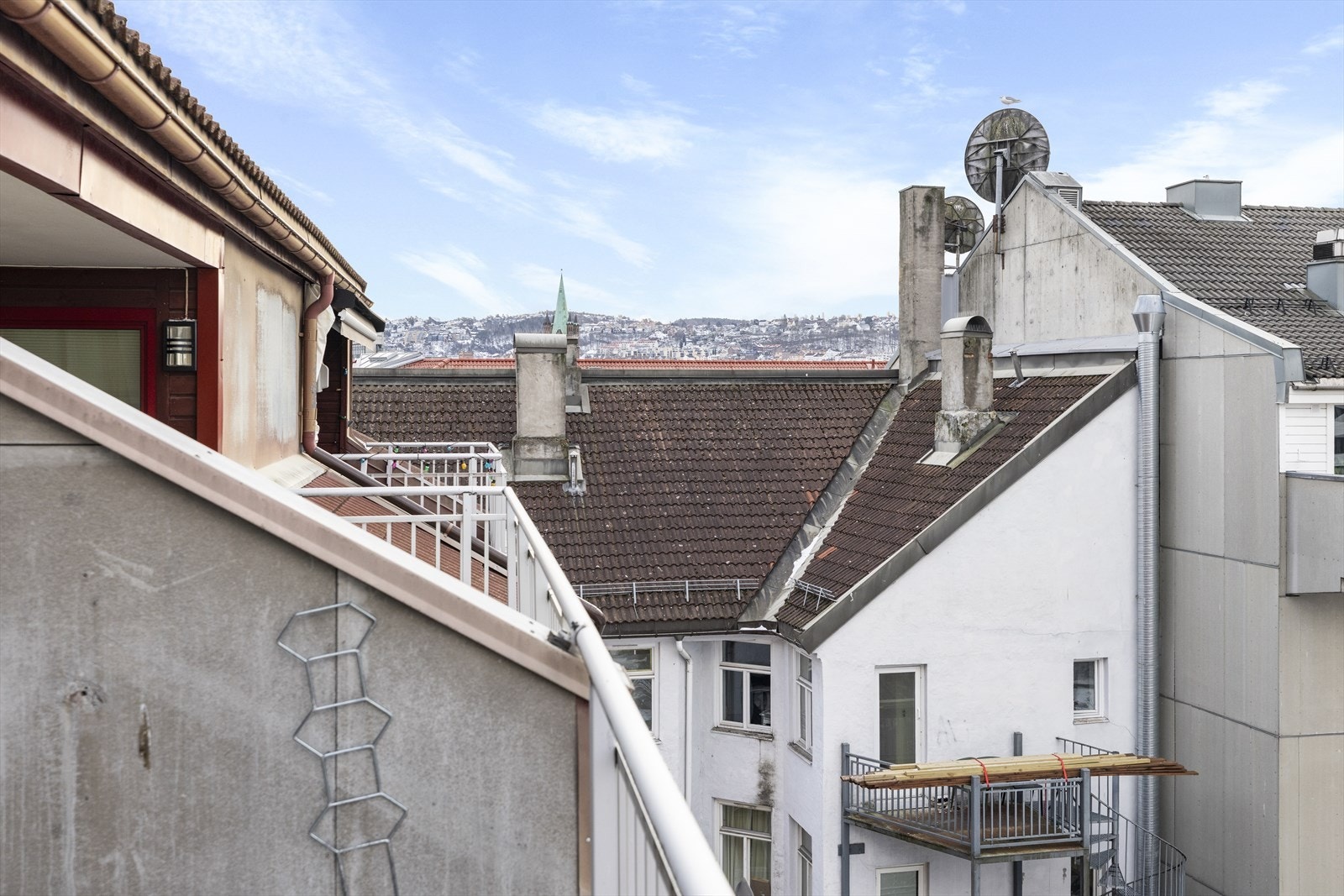 Ekebergåsen. Galleribilde