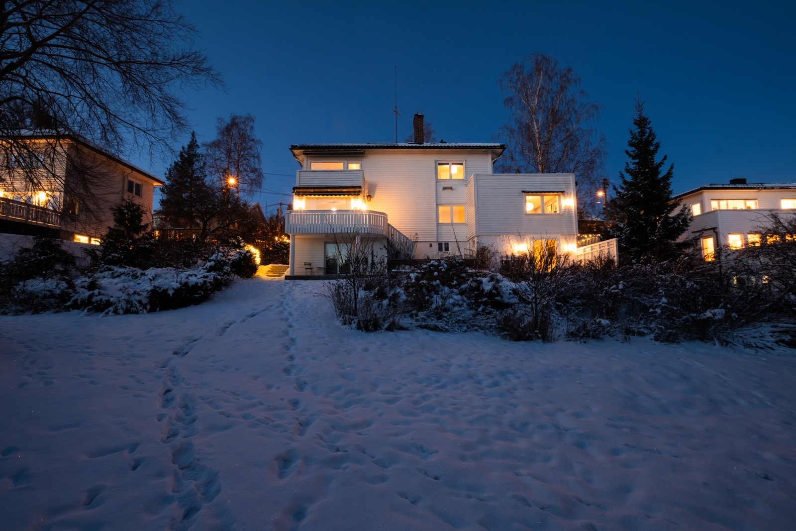 Kveldsbilde fra hagen. Galleribilde