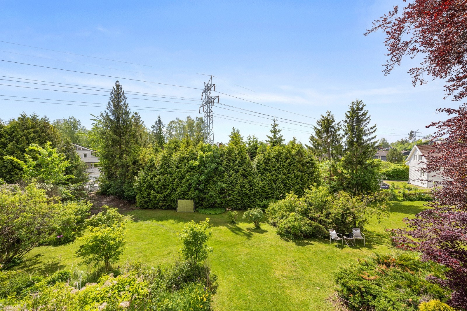 Flott, grønn utsikt! Galleribilde