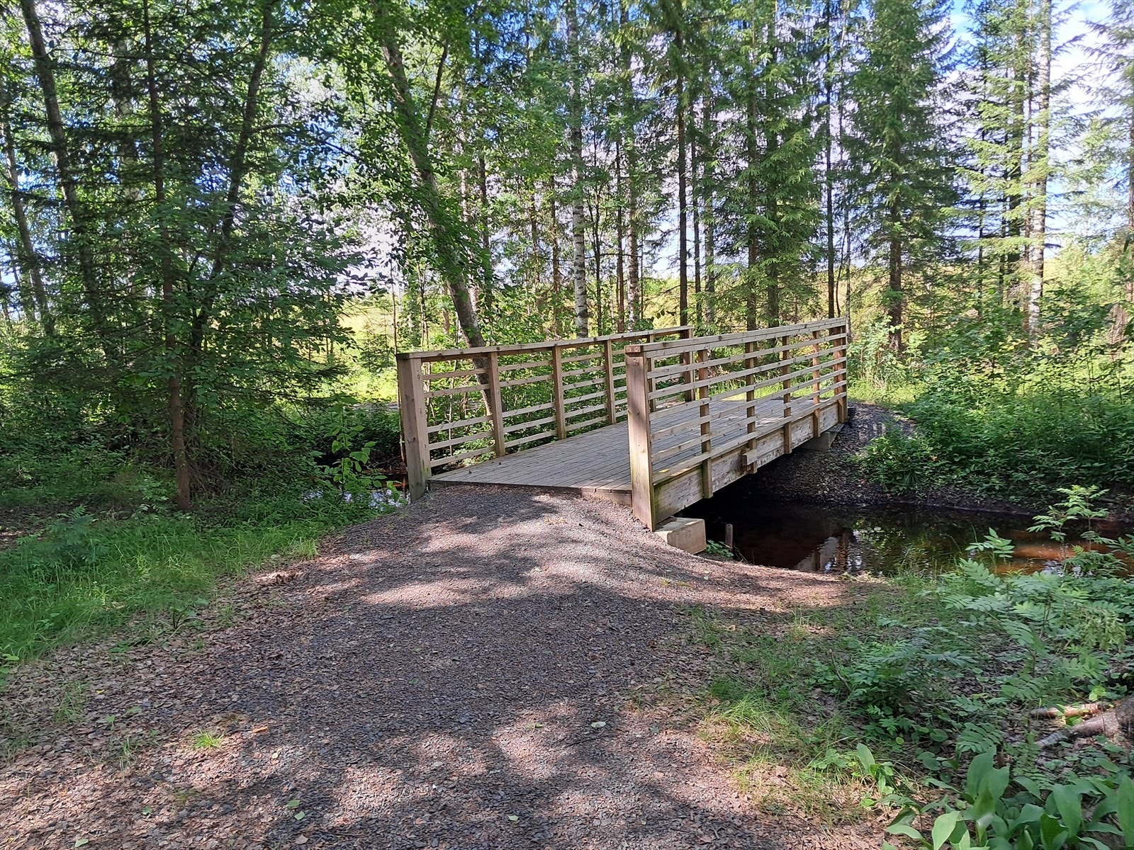 Mange fine turstier i Elverum Galleribilde