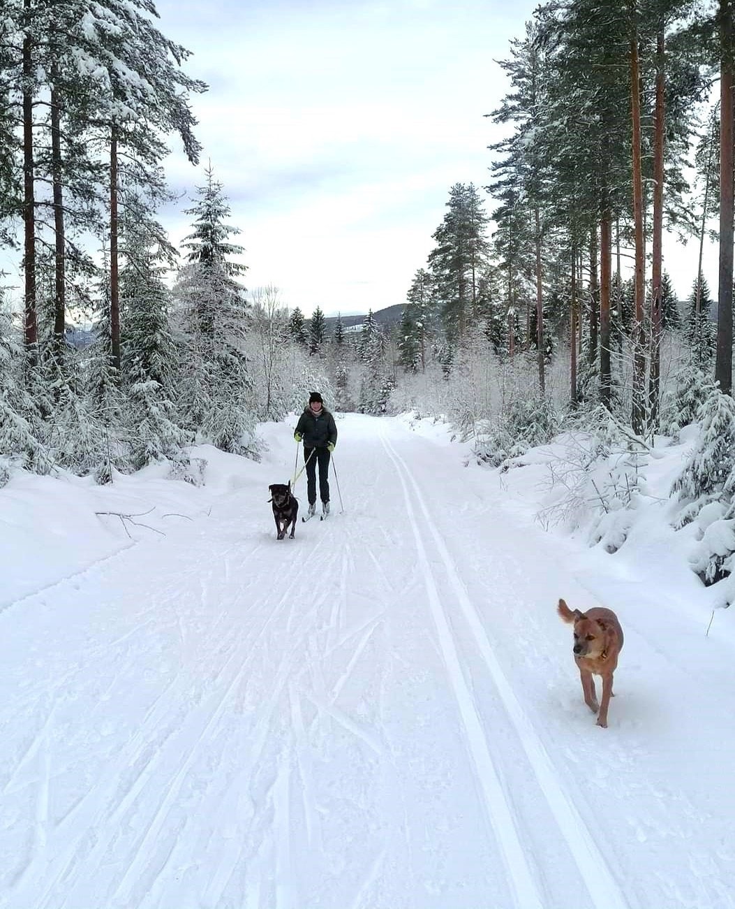 Flott løypeanlegg rundt hele byen Galleribilde