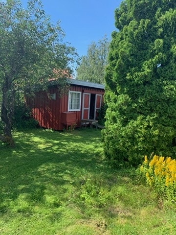 Sommerbilde av hagen - selgers private foto Galleribilde