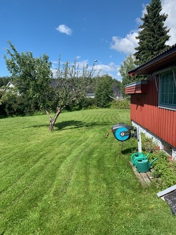 Sommerbilde av hagen - selgers private foto Galleribilde