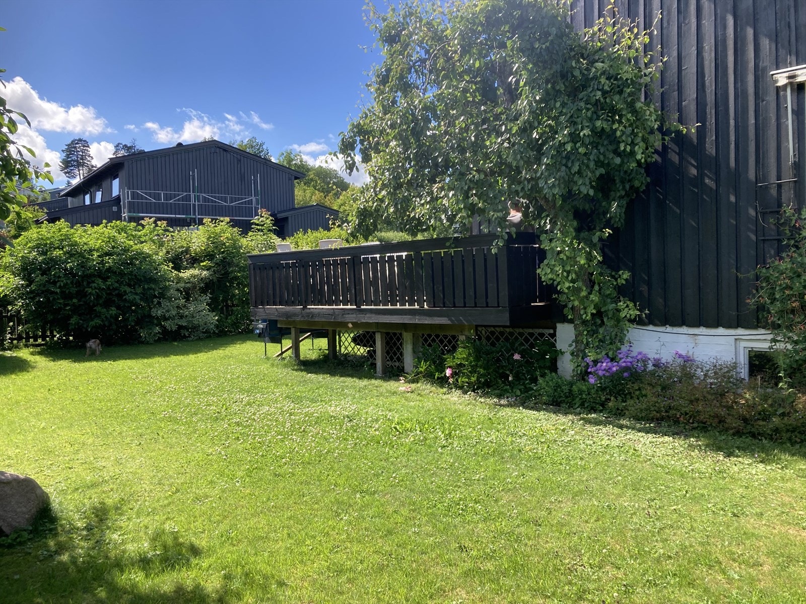 Selgers sommerbilde. Galleribilde