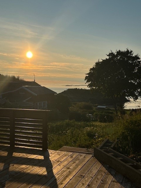 Sommerbilde fra terrassen - bilde privat Galleribilde