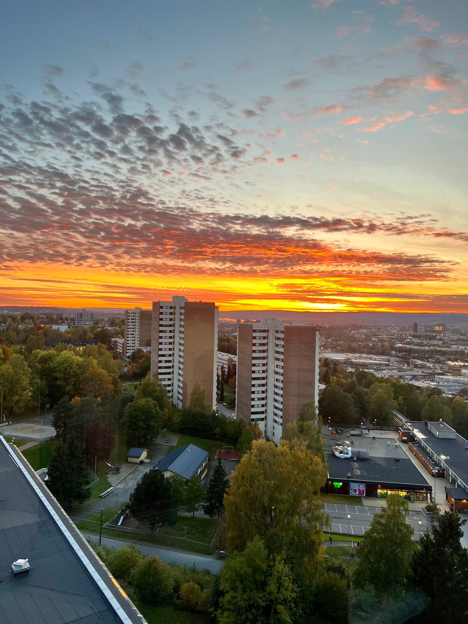 Privat bilde Galleribilde