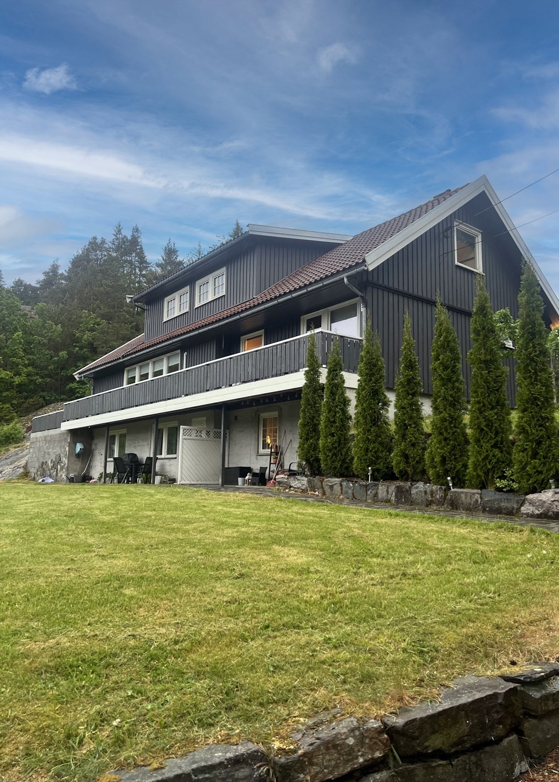 IMG_6169 Galleribilde