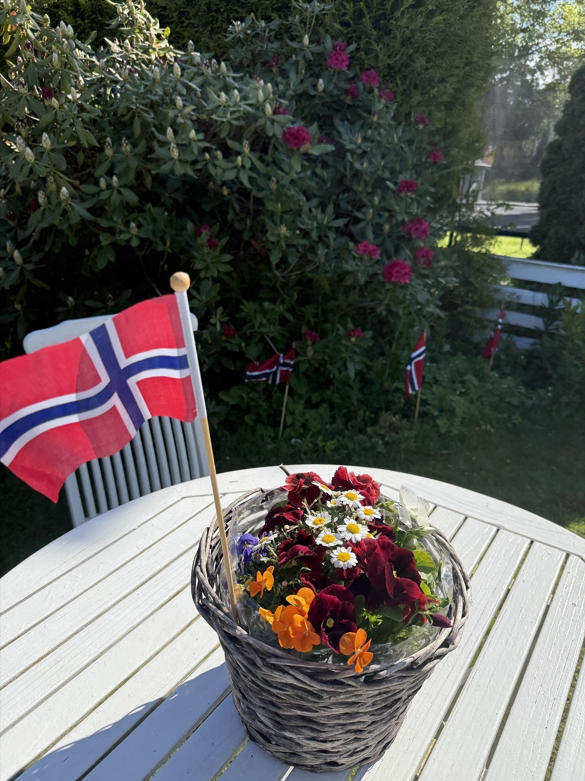 Private sommerbilder. Galleribilde