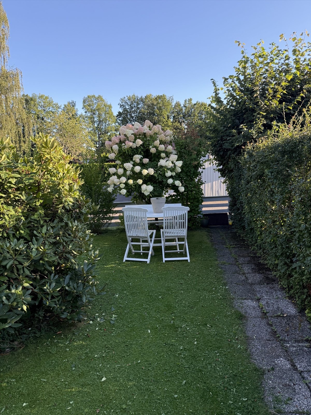 Private sommerbilder Galleribilde