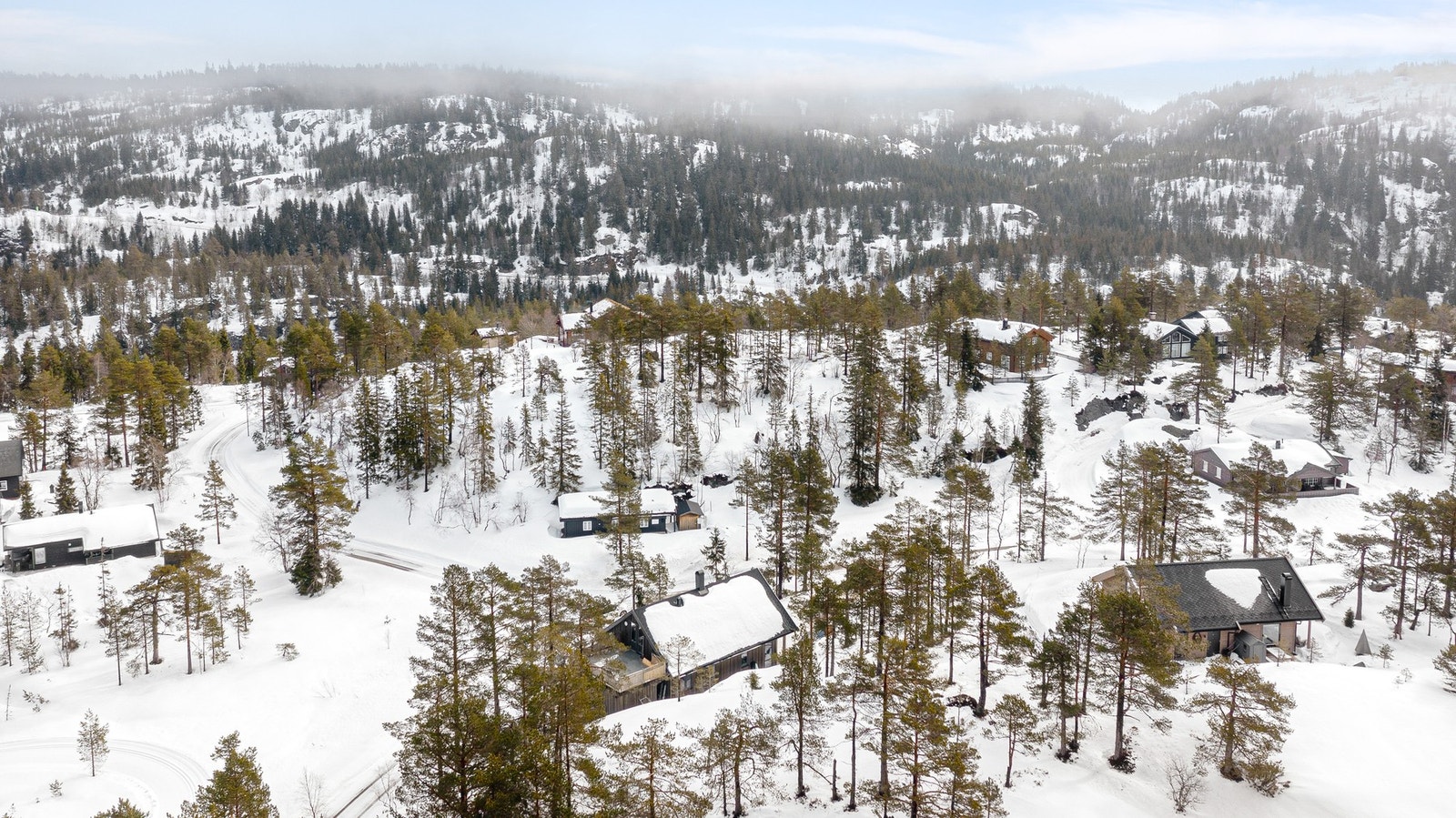 Flotte naturopplevelser med toppturer, fiske-, bademuligheter og bærsanking på ettersommeren Galleribilde