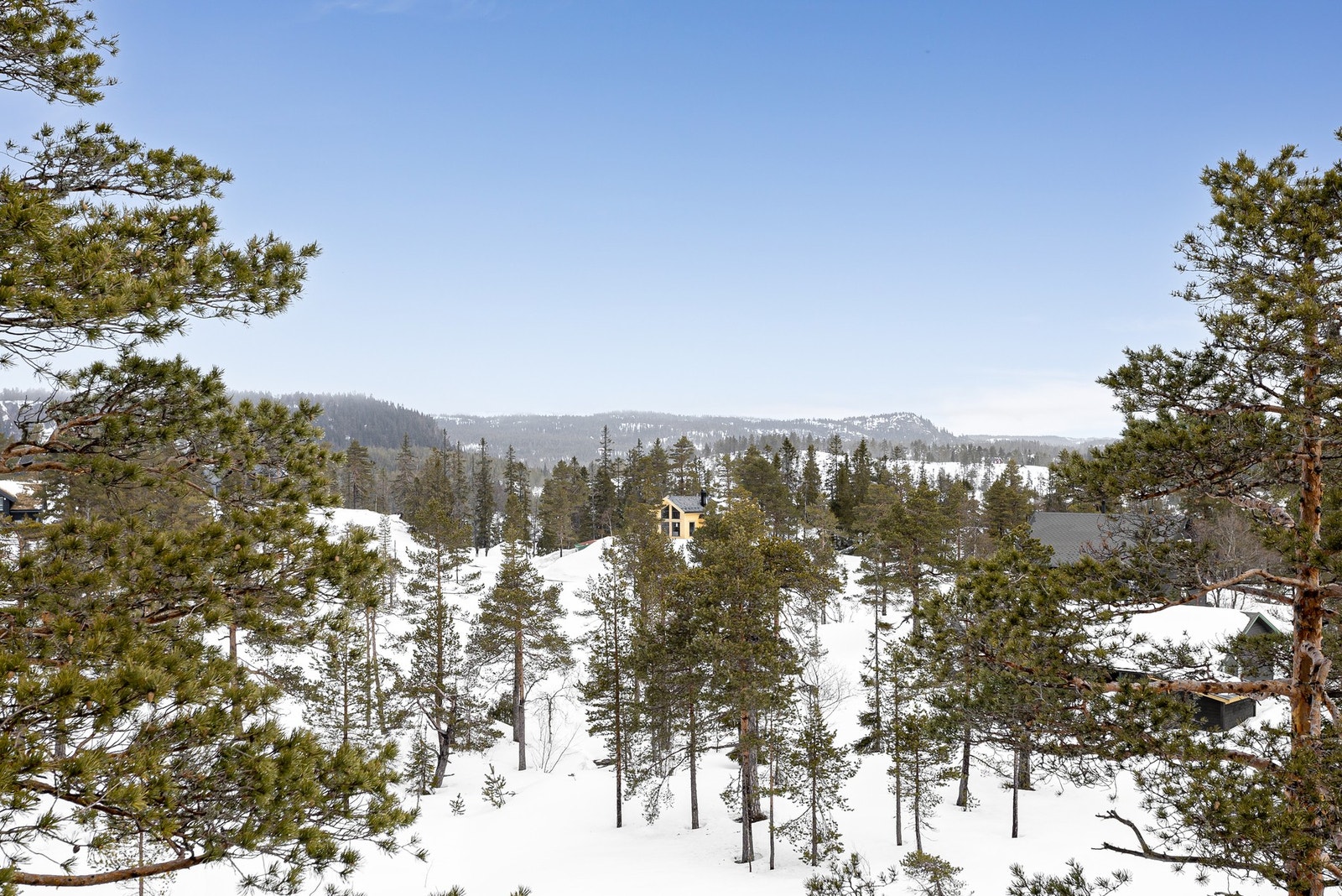I dette nydelige fjellområdet kan du nyte milevis med skiløyper, de fleste er maskinpreparerte Galleribilde