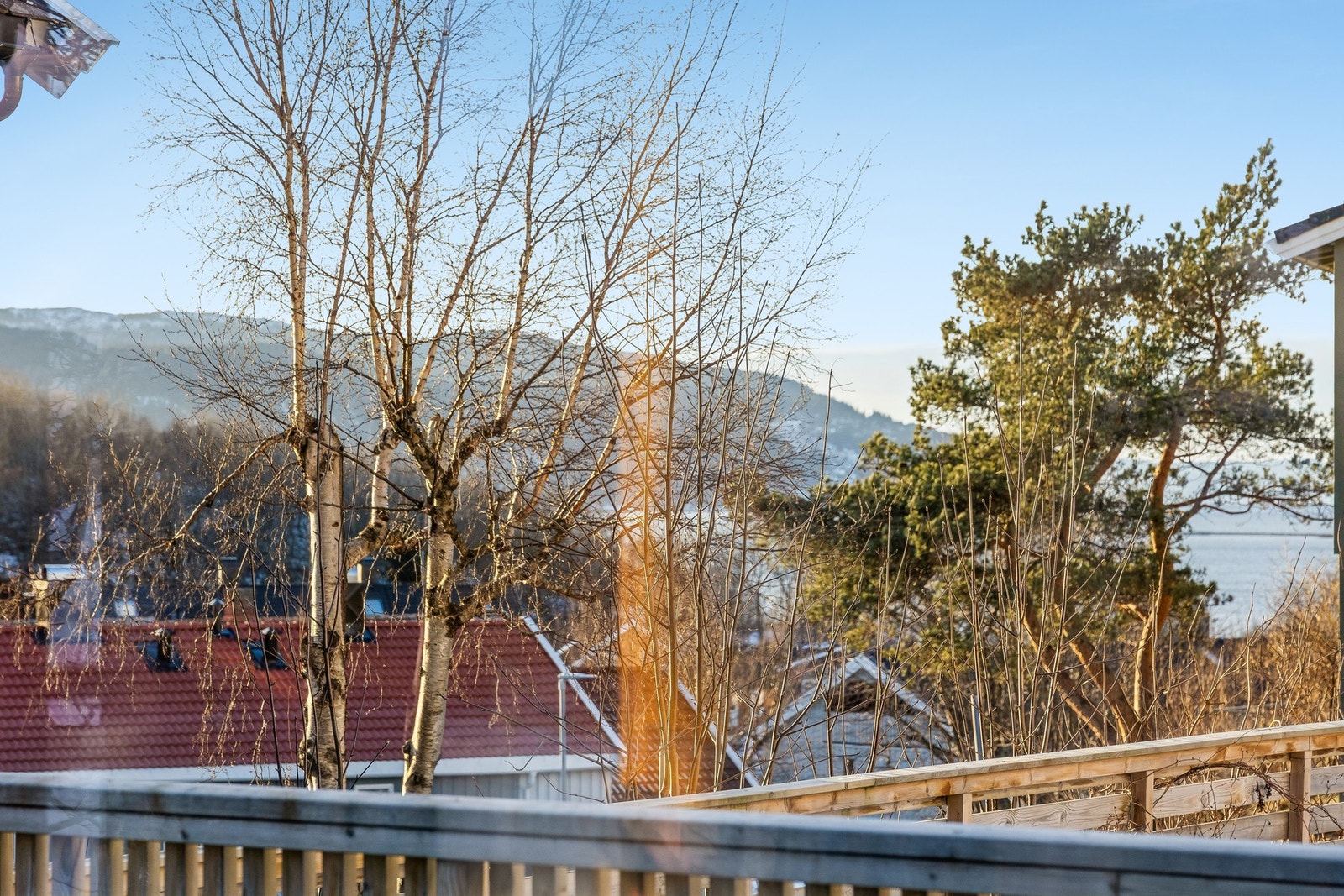 Velkommen til visning! Galleribilde