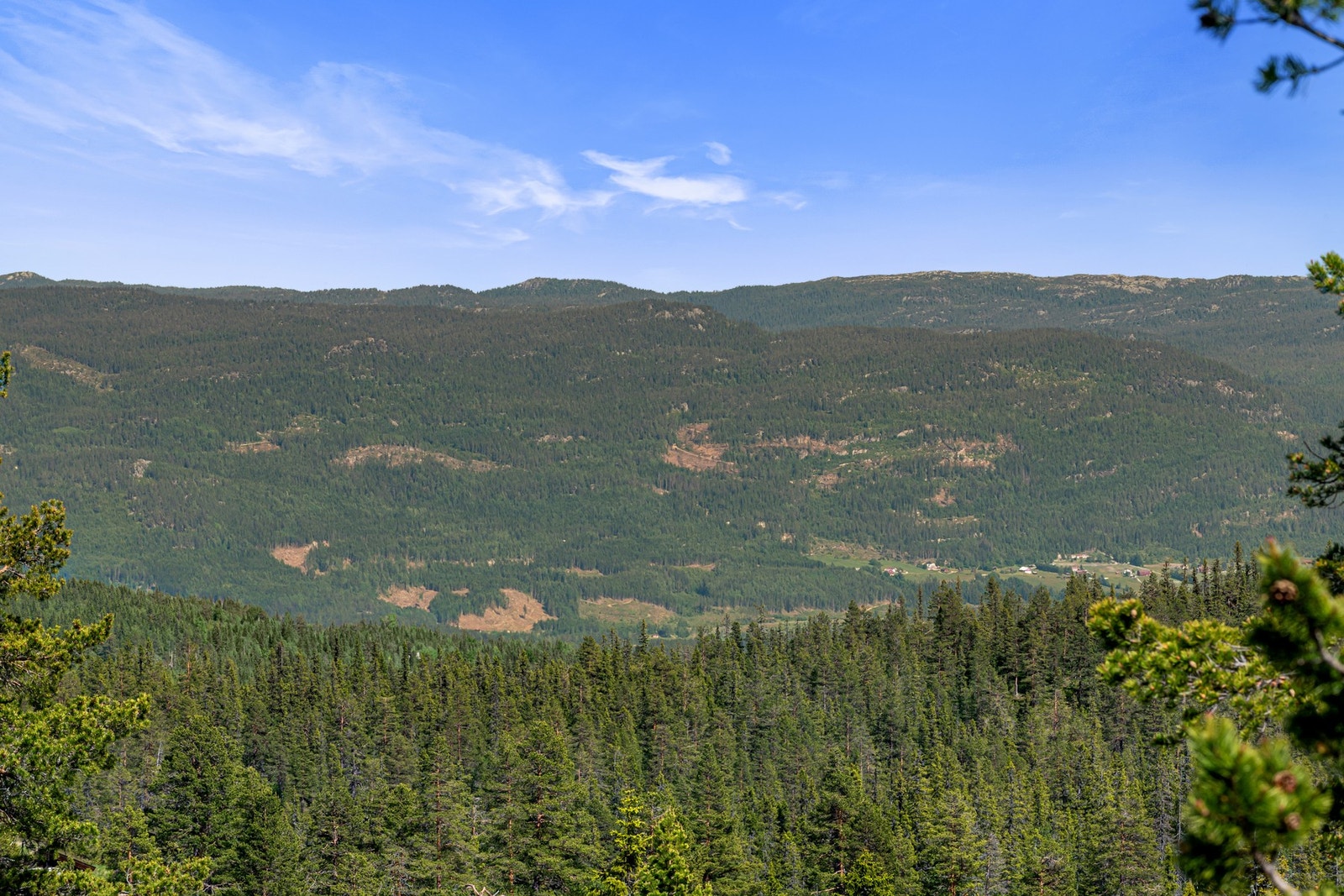 Utsikt fra terrassen Galleribilde