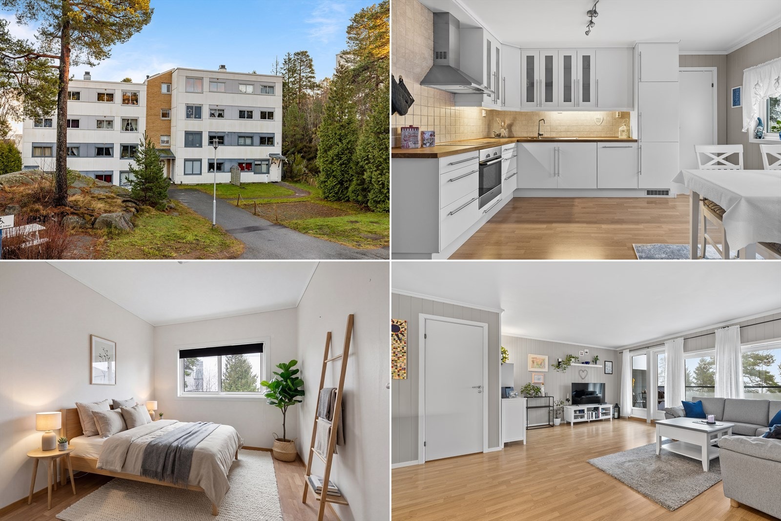 Velkommen til Ringkollen 8B Galleribilde