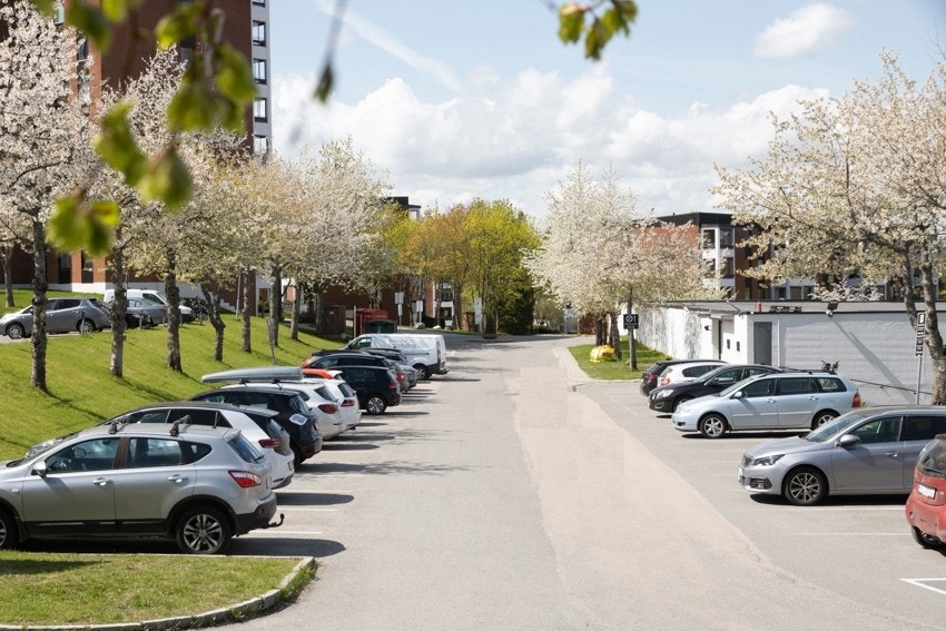 Rikelig med parkeringsplasser på felles parkeringsplass. Galleribilde