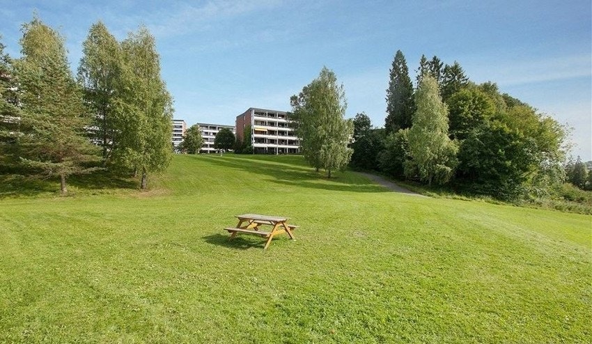 Mærradalen - Borettslaget nærmeste nabo og starten på enhver aktivitet. Galleribilde