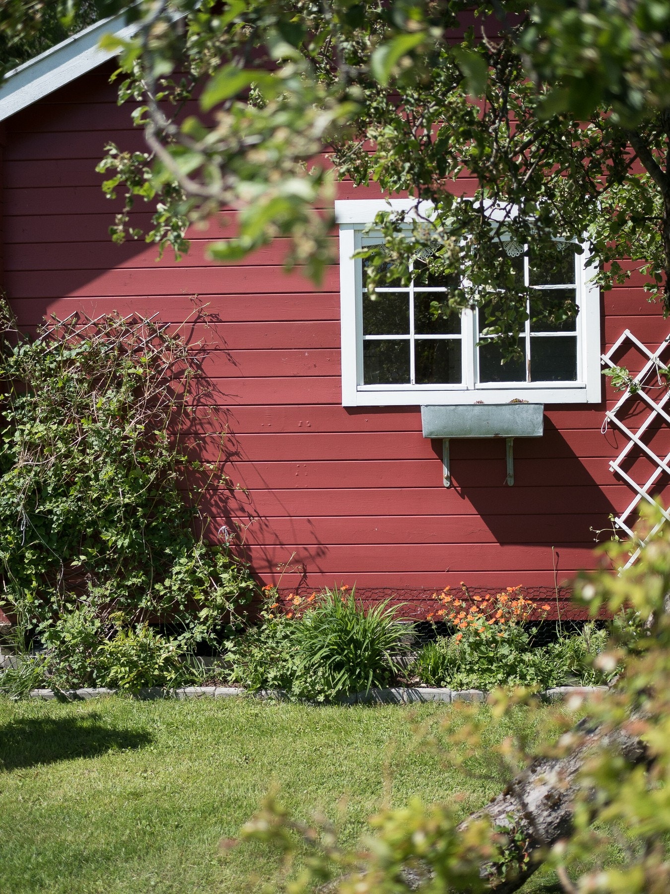 Solen følger eiendommen fra tidlig morgen og skaper perfekte rammer for lange, varme dager utendørs. Galleribilde