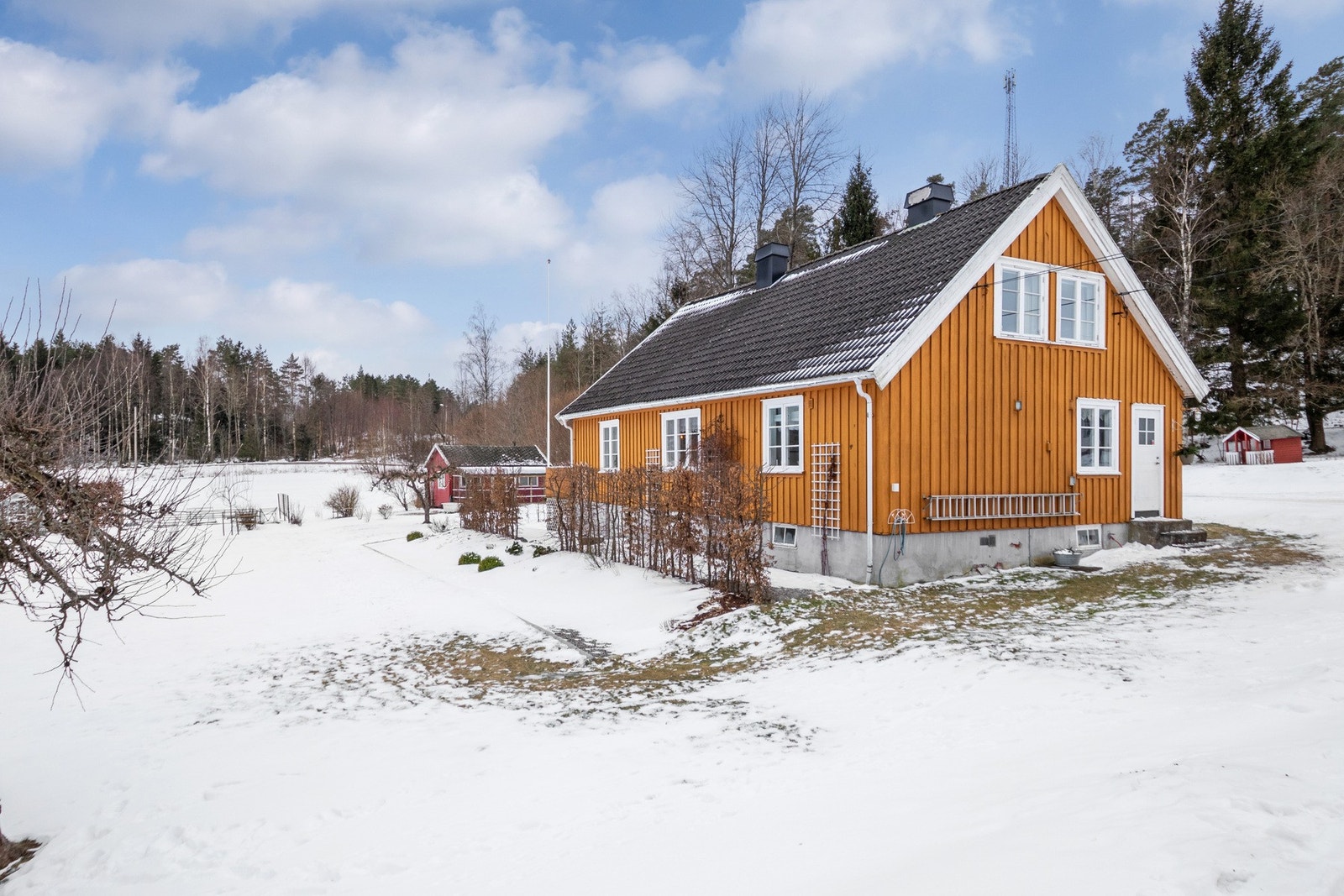 Resultatet er en grønn og frodig oase med rikelig boltreplass for både små og store. Galleribilde