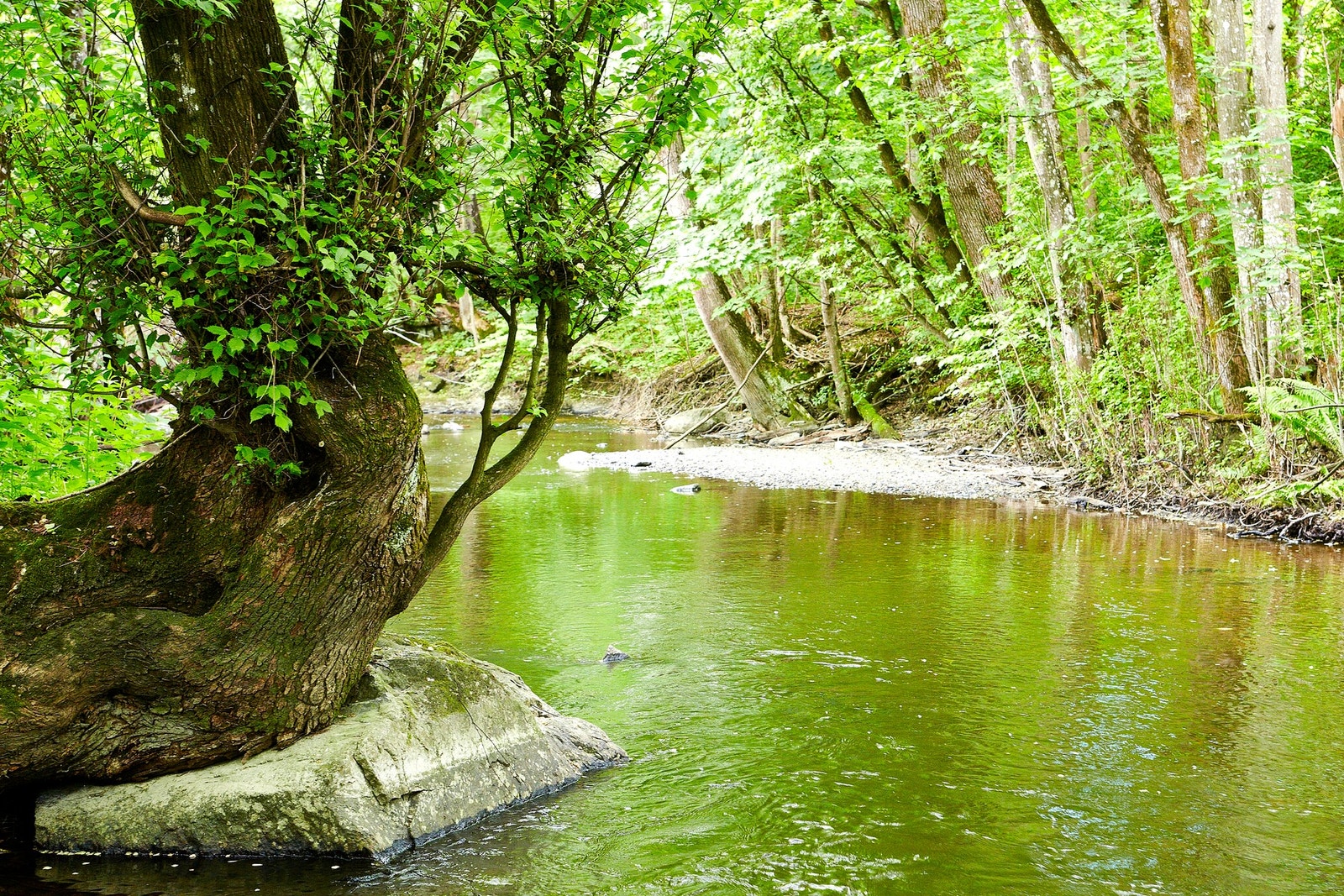 Kyststien går innover mot Holmen og utover mot Vollen og videre mot Slemmestad. Galleribilde
