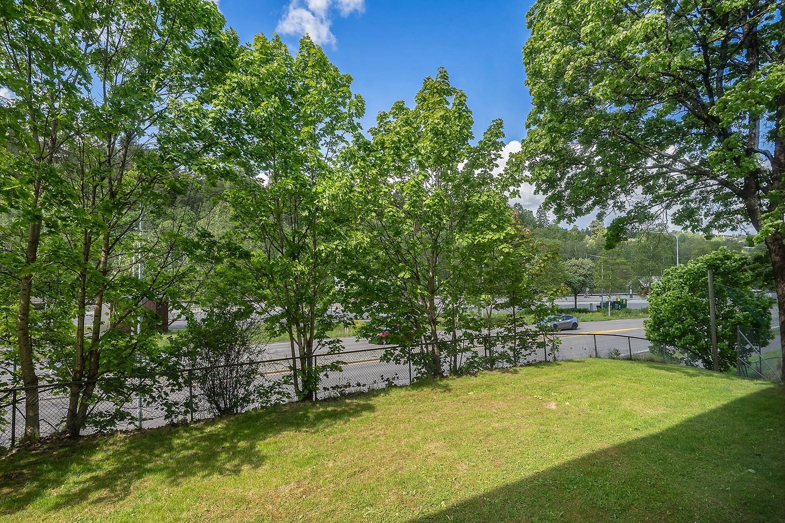 objpict_3321736296662542_0.jpg Galleribilde