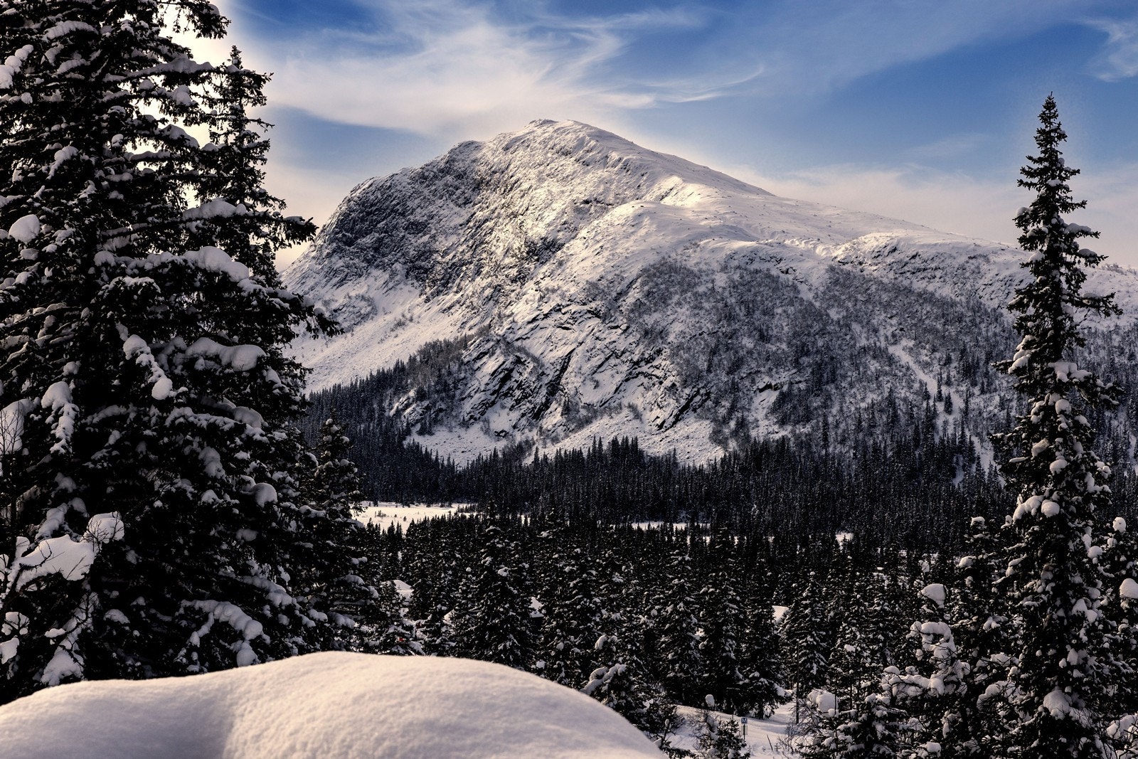 Nyt fri utsikt mot Haglebunatten! Galleribilde