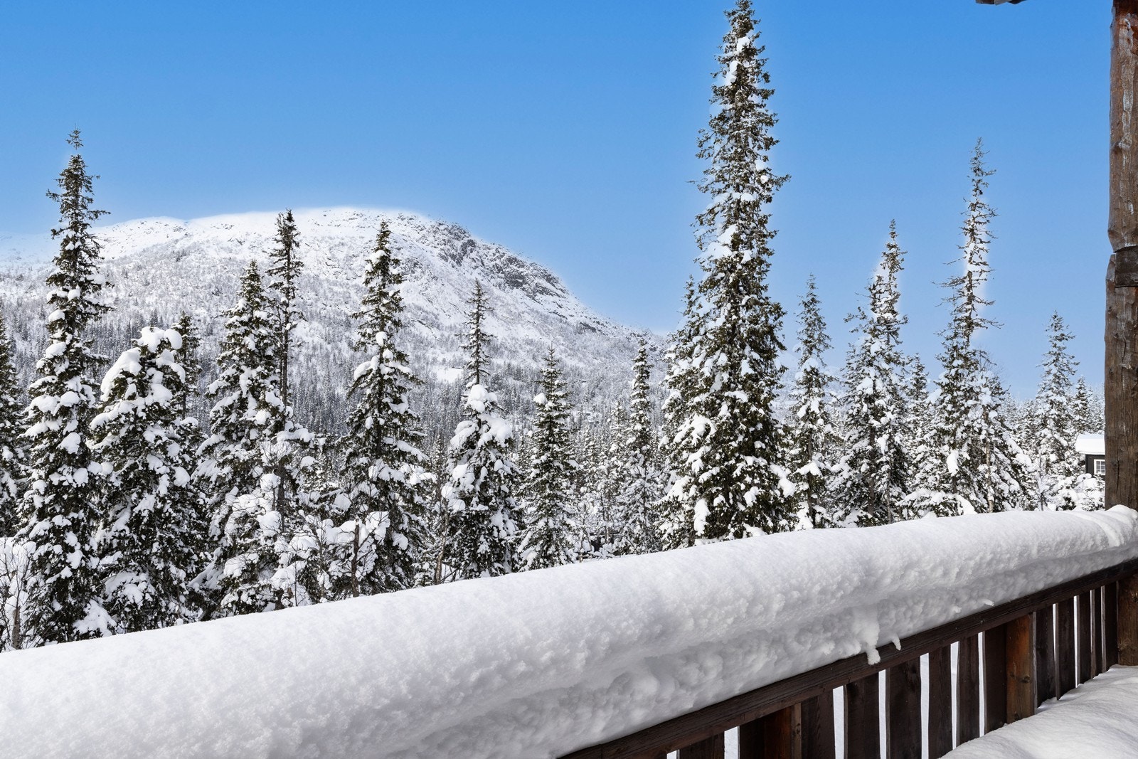 Vakker utsikt fra terrassen. Galleribilde