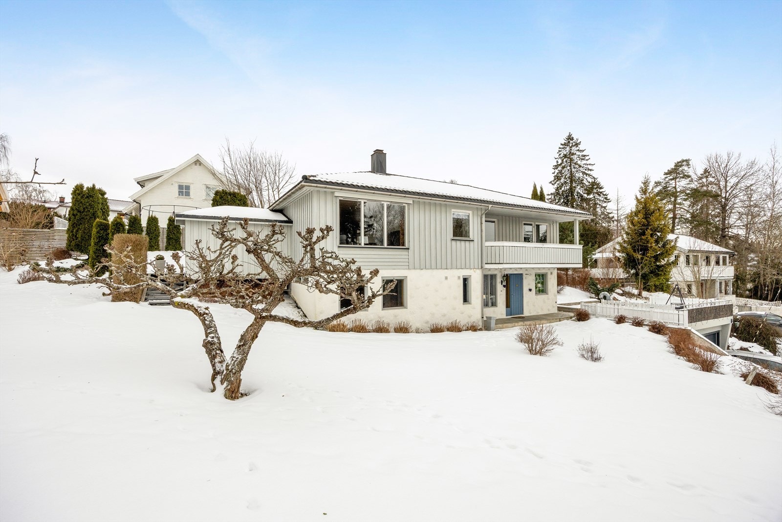 Hage med frukttrær- om vinteren. Galleribilde