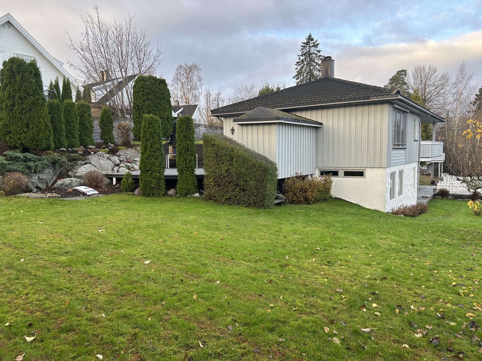 Privat bilde av hagen. Galleribilde