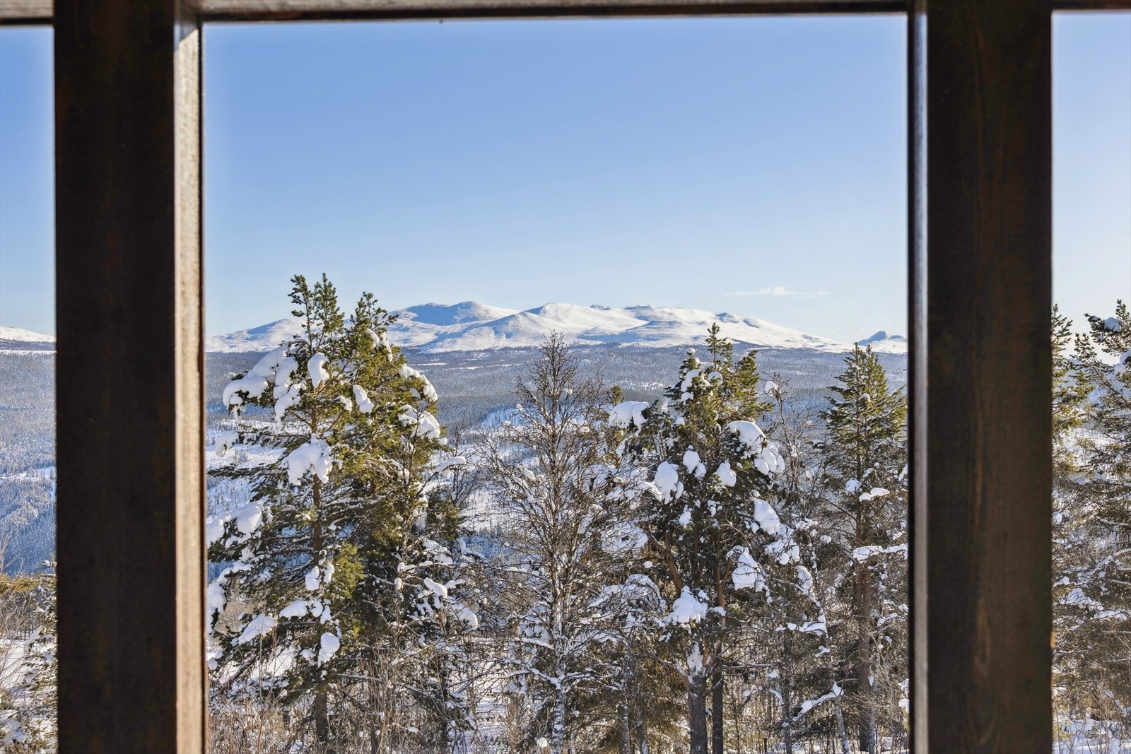 Utsikt. Galleribilde