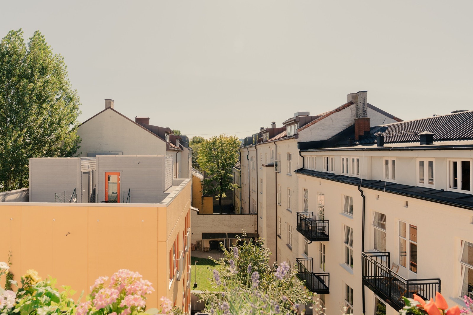 Nydelig og frodig utsikt. Galleribilde
