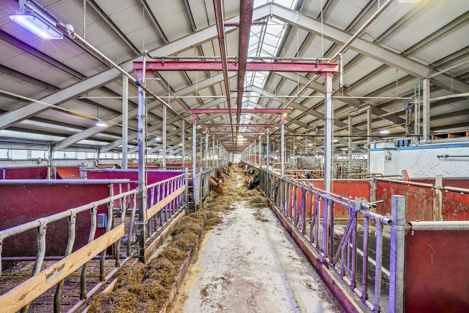 Fjøsrom Galleribilde