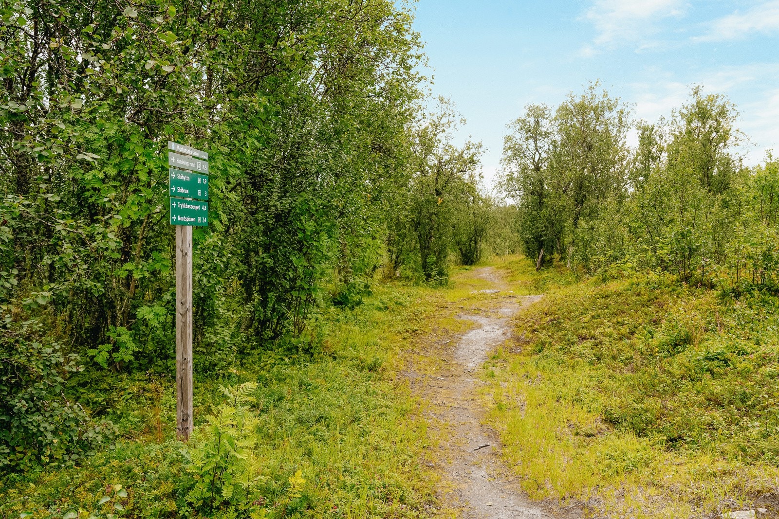 I nærområdet finner du også skoler, barnehage og fine turområder.