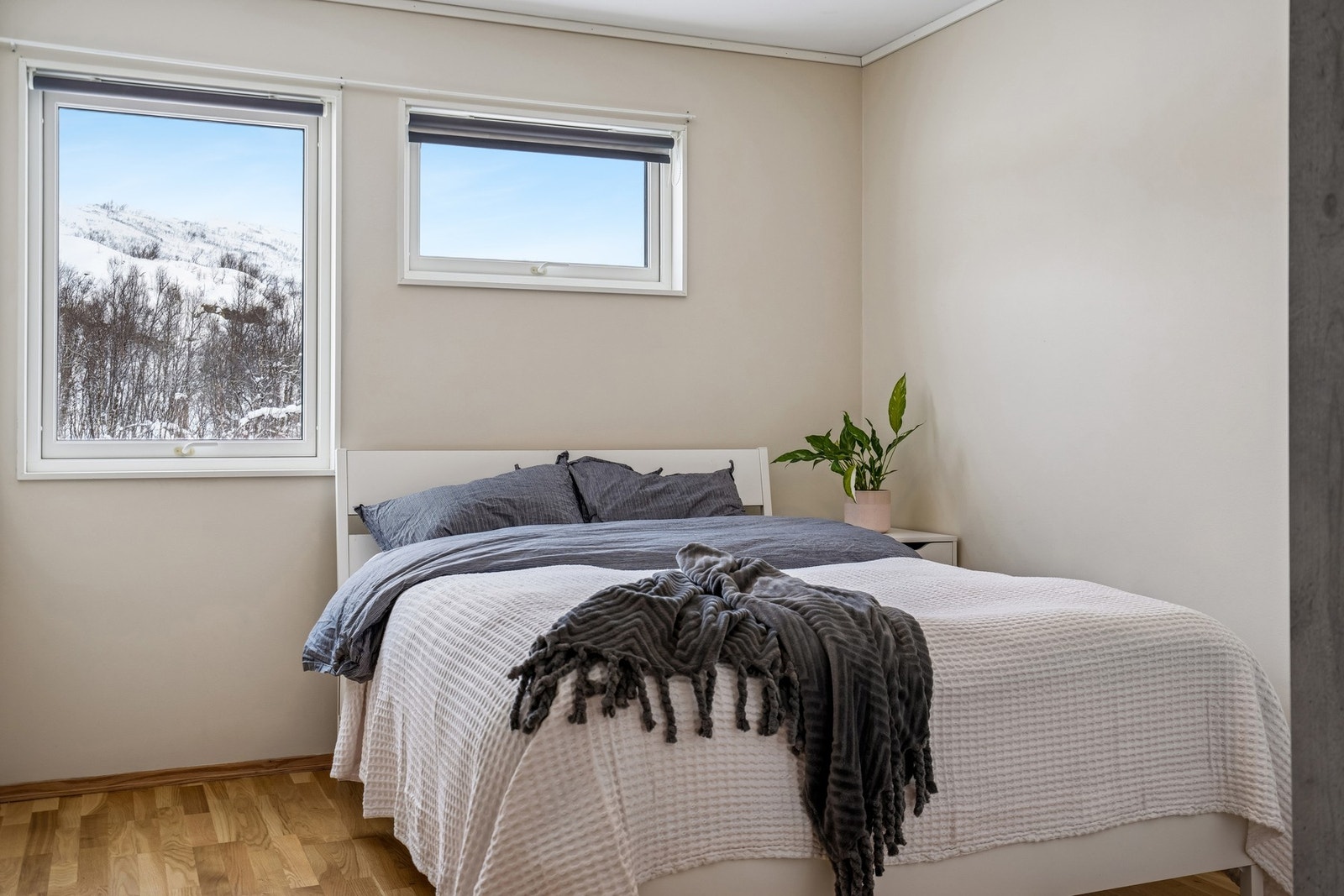 Alle soverommene er innredet i behagelig farger Galleribilde