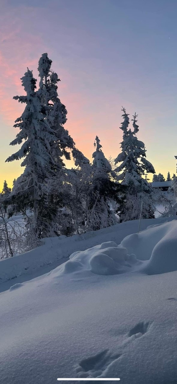 Ettermiddagsstemning.jpg Galleribilde