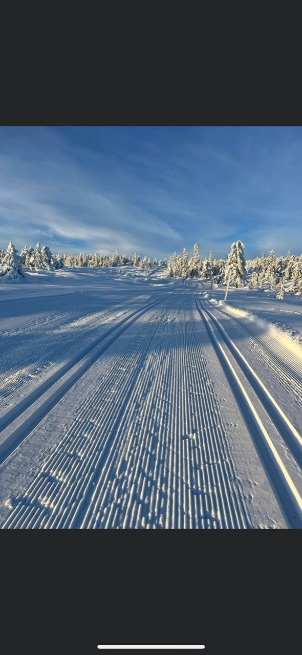 Stemningsbilder skiløyper.jpg Galleribilde