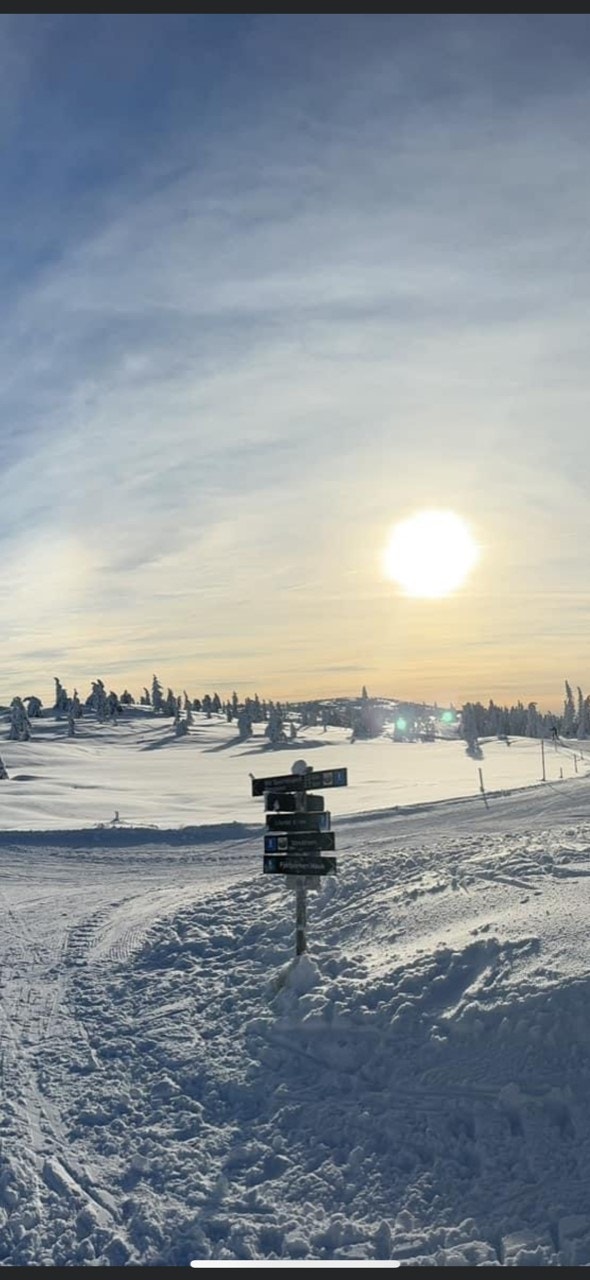 Stemningsbilde natur.jpg Galleribilde