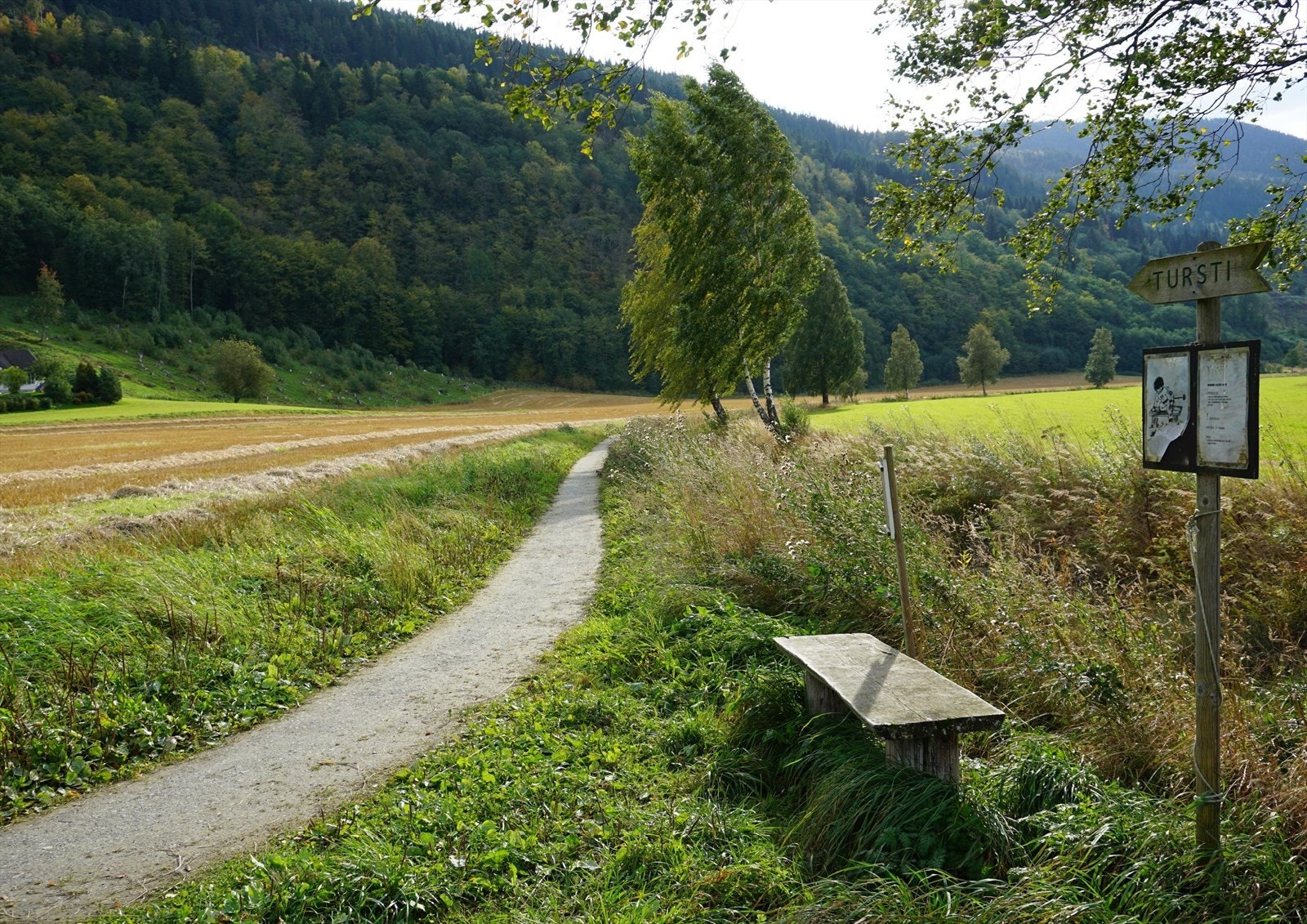Flotte rekreasjonsløyper om man ønsker lett godt terreng eller om man vil begi seg ut på bestigelse av Vassfjellet. Galleribilde