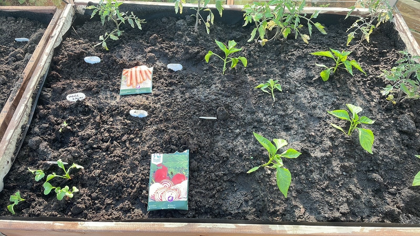 Privat bilde fra selger- Mulighet for dyrking av ulik beplantning. Galleribilde