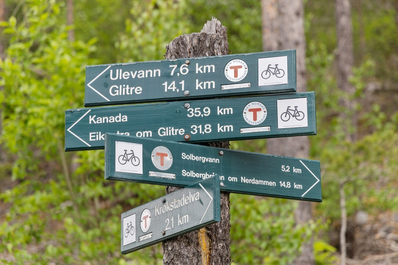 Turstier i marka Galleribilde