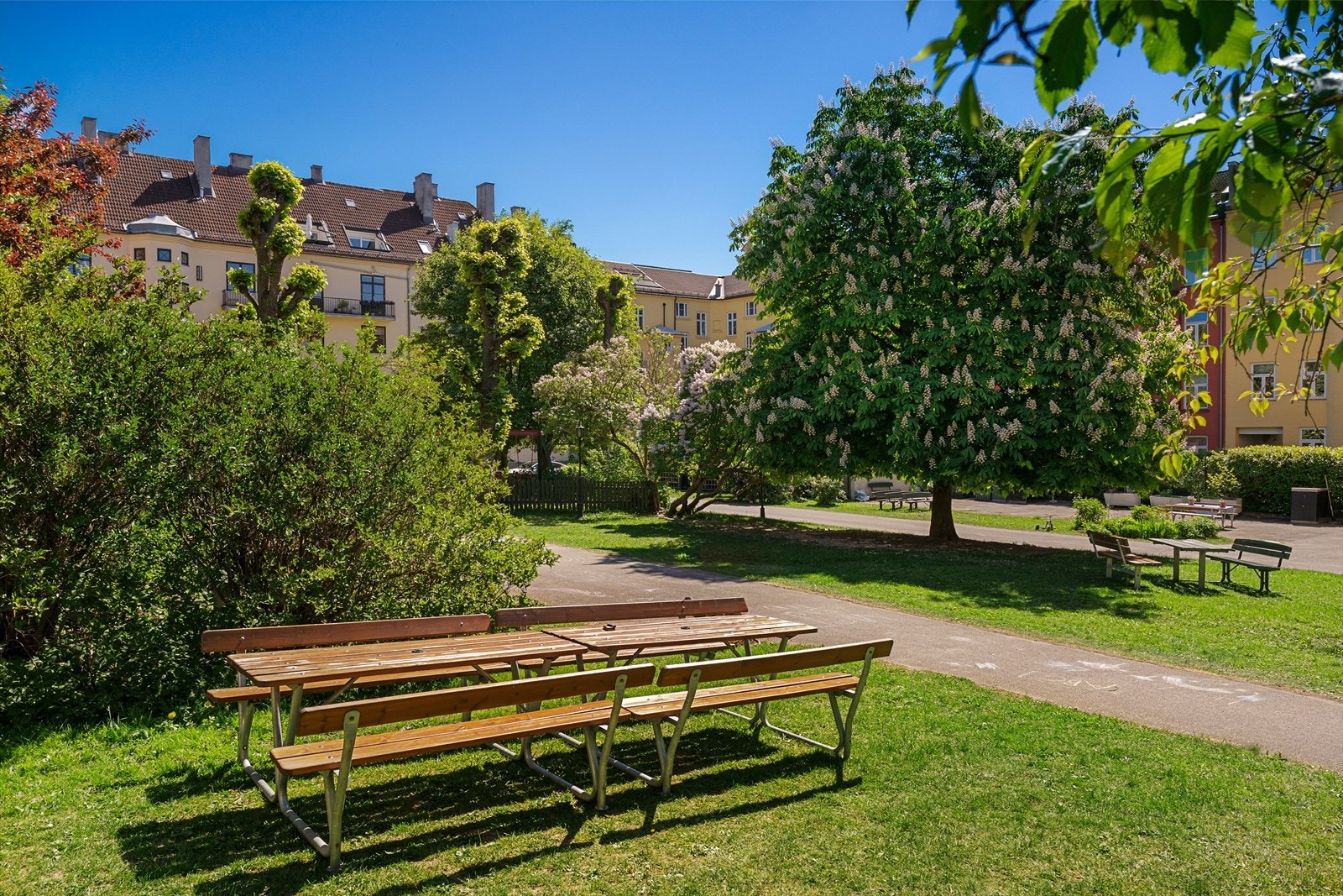 Den idylliske bakgårdshagen oppleves som en stor, privat park for beboerne Galleribilde