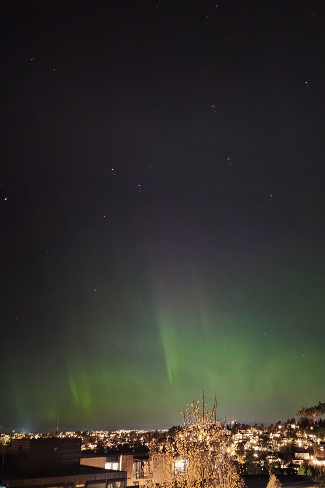 Nydelig nordlys - Bilde tatt av selger. Galleribilde