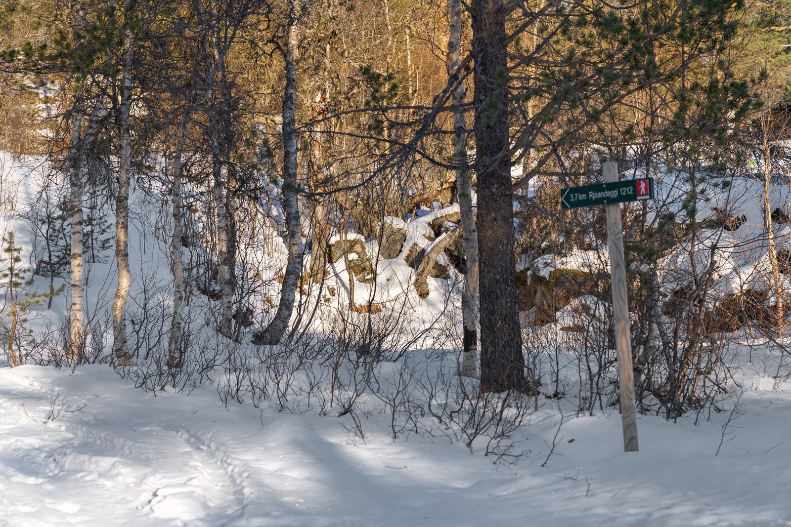 Til Rjoandeggi følger en den merkede traséen Galleribilde