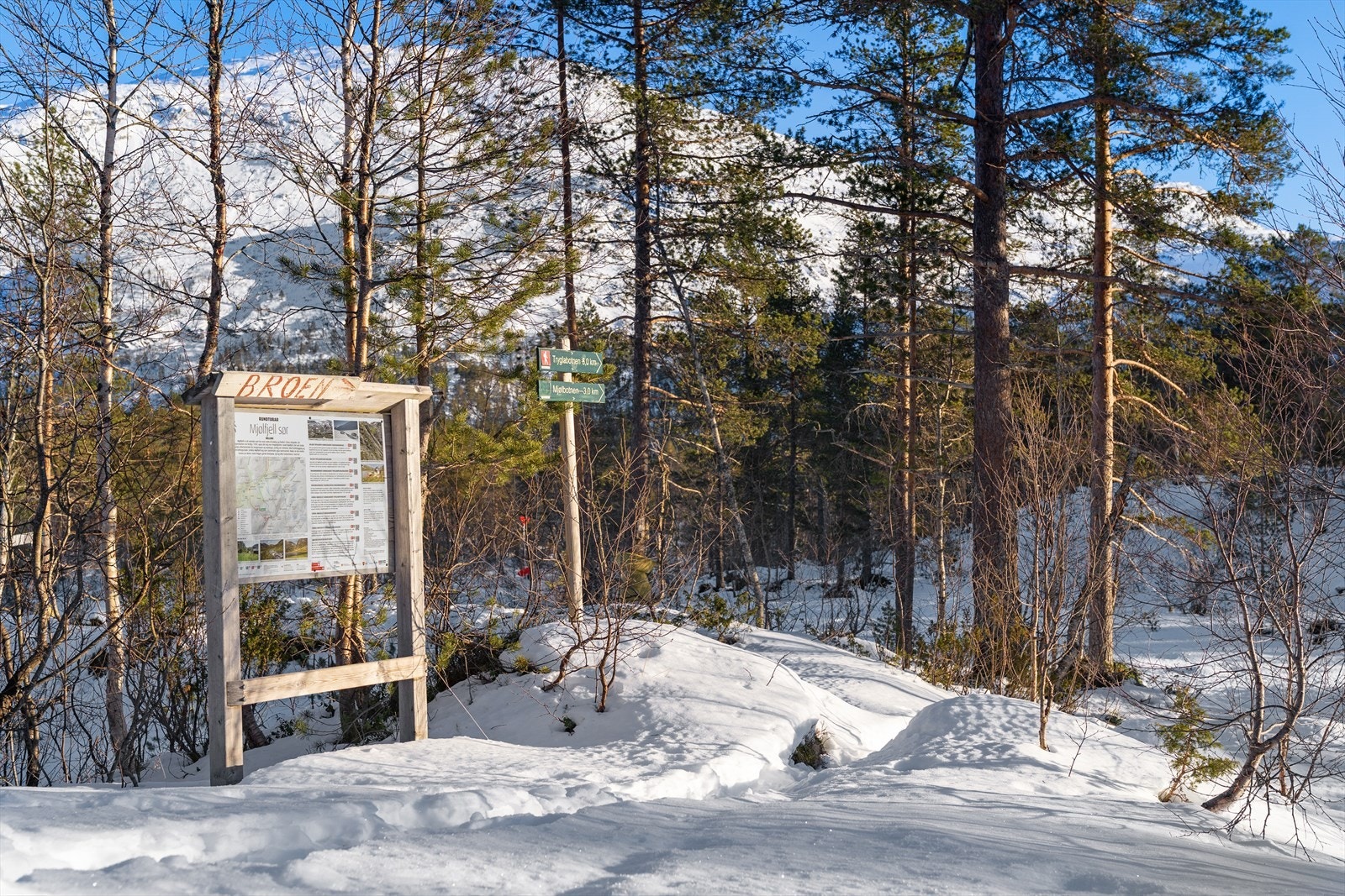 Mjølfjell sør byr på et rikt utvalg av turstier og fjelltopper Galleribilde