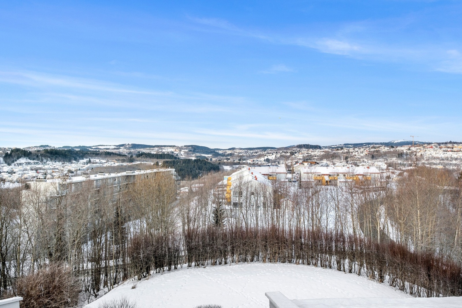 Utsikt. Galleribilde