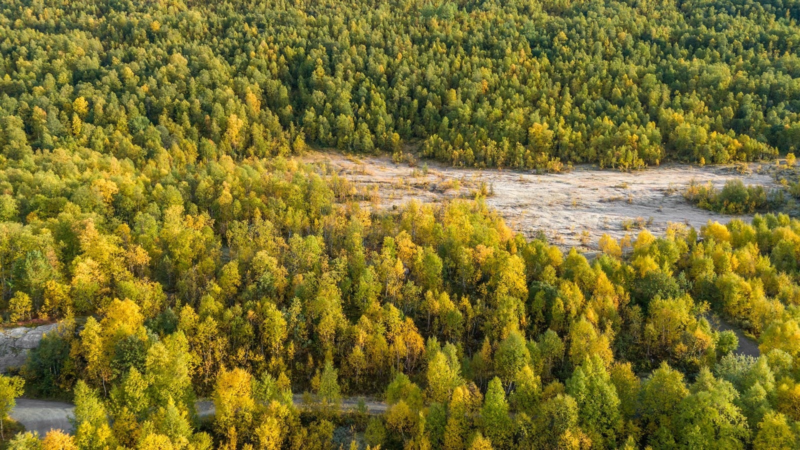 Ta kontakt ved spørsmål! Galleribilde