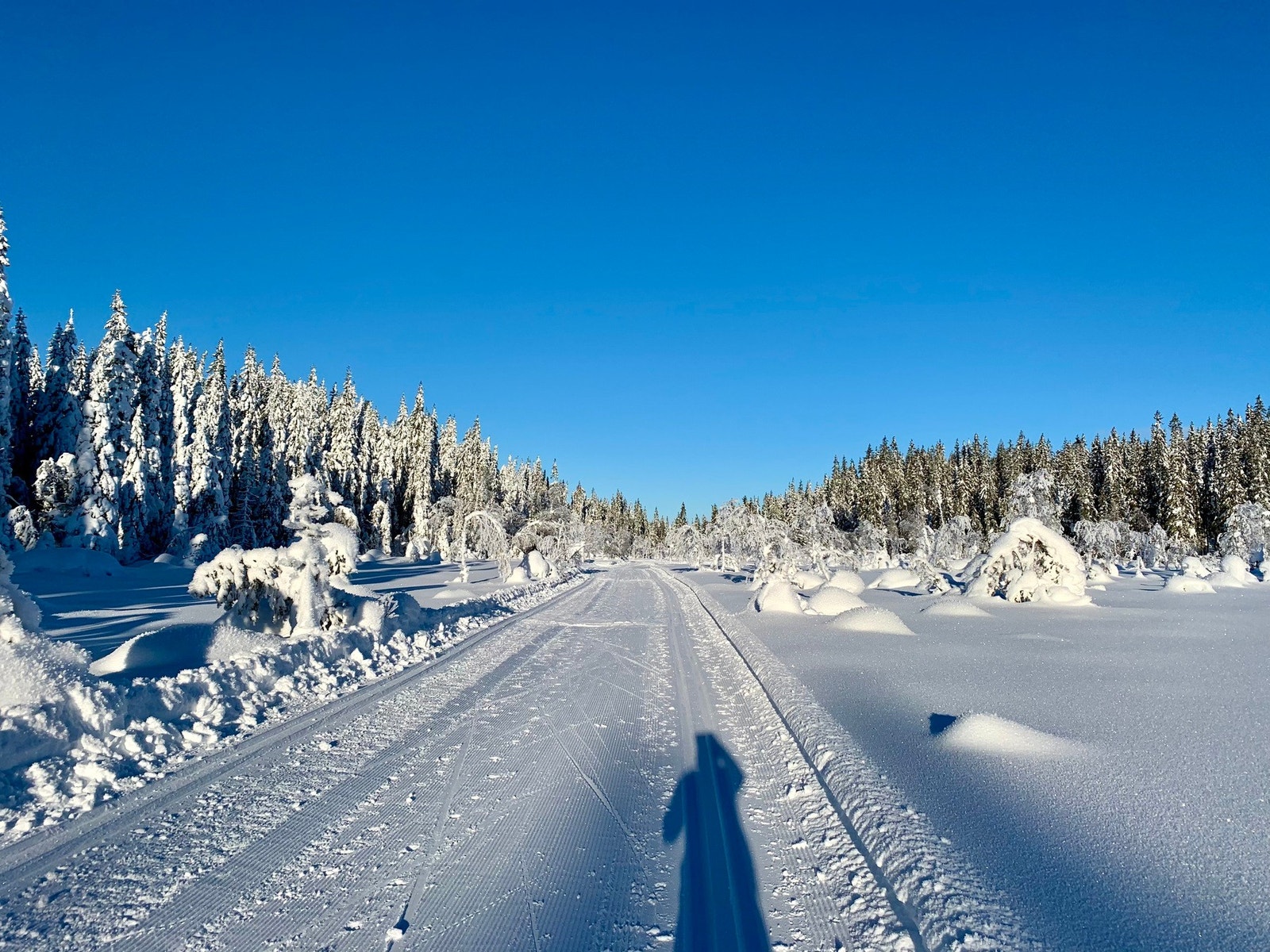 Mylla løypefoering er kjent for å kjøre gode maskinskjørte løyper. Bilde fra selger. Galleribilde