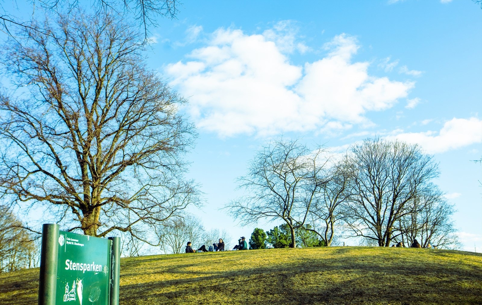 Områdebilde. Galleribilde