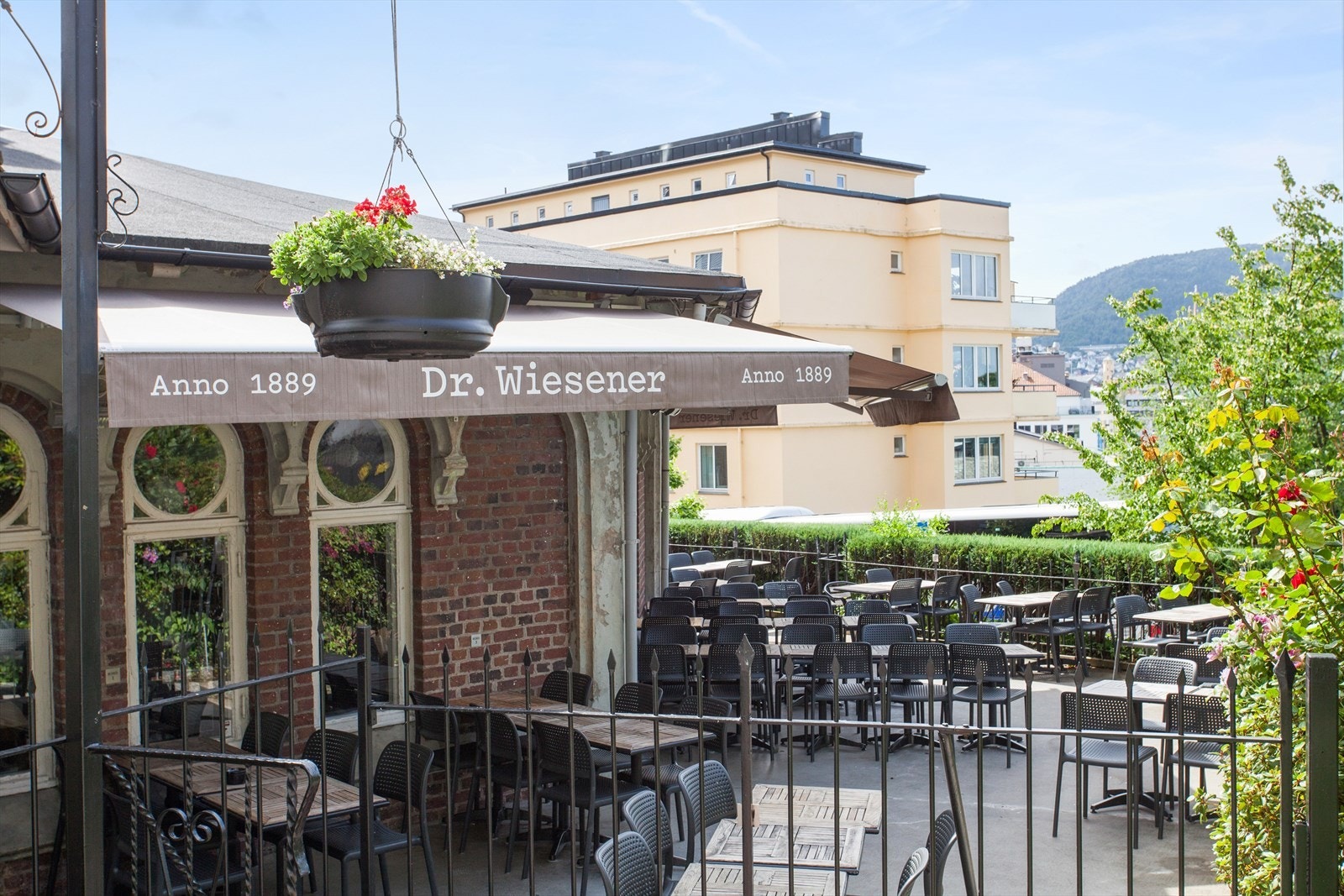 Dr. Wiesner. Nabolagets pub og kafe Galleribilde